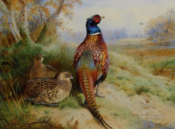 Animal Painting - gallo y gallina faisán al borde de un bosque 1926 aves